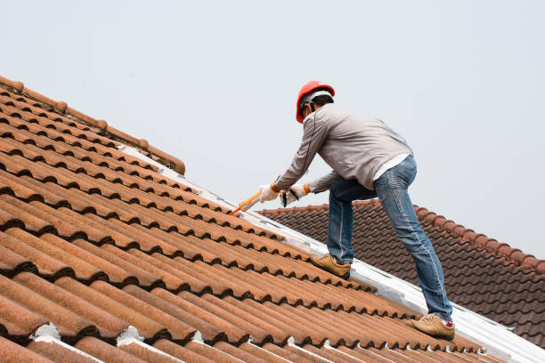  Nevada, IA Roofing repair and installation Pros
