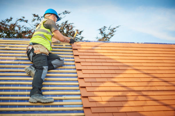 Best Cold Roofs  in Nevada, IA
